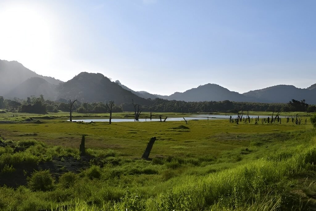 Gal Oya – Naturaleza Sri Lanka