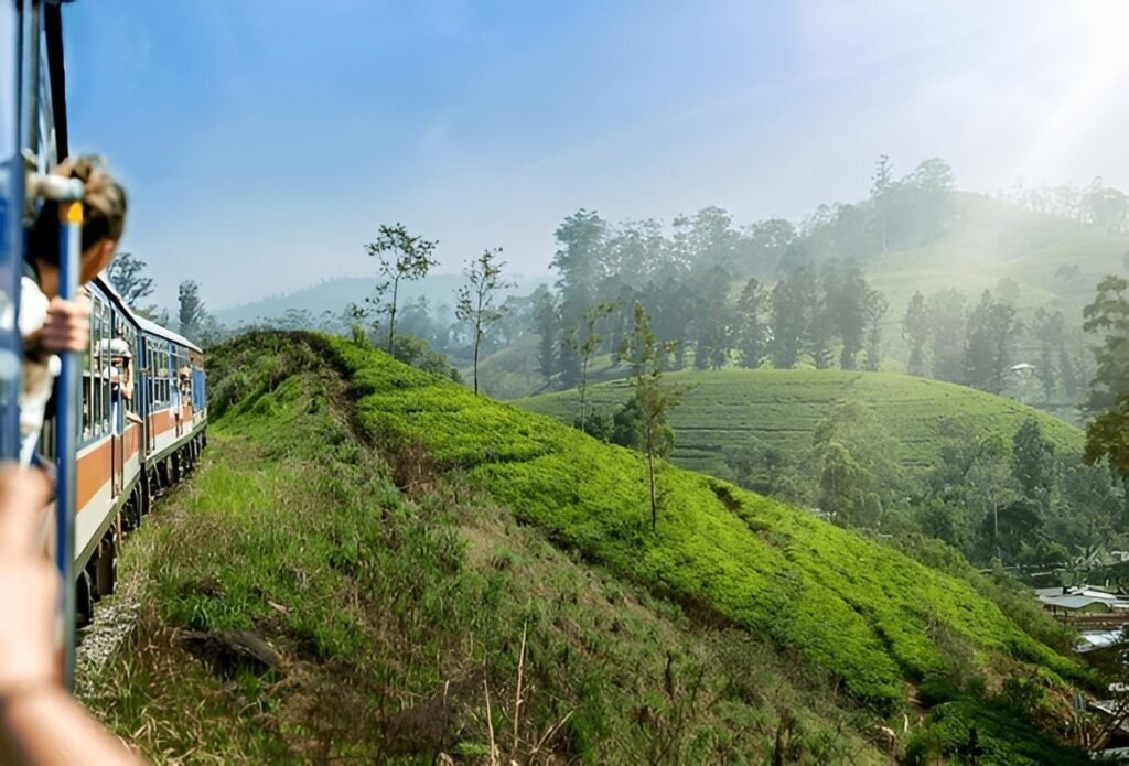 Miradores familiares en Ella Sri Lanka