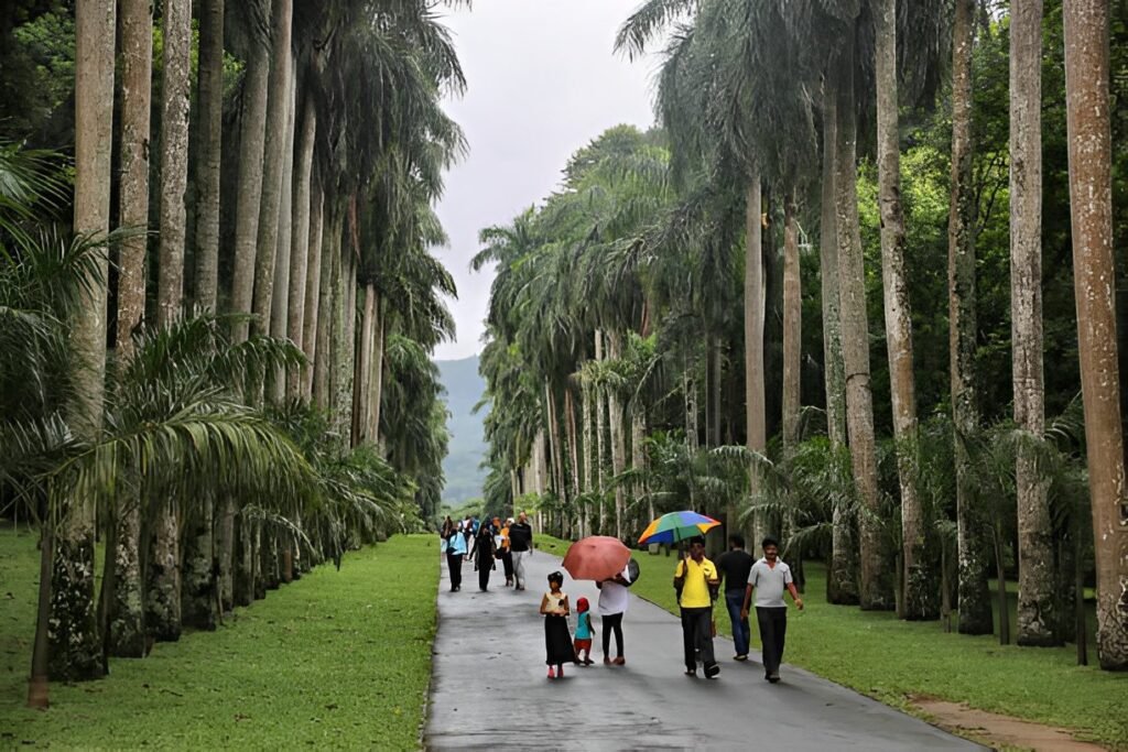 Jardines Botánicos de Kandy durante itinerario Knuckles
