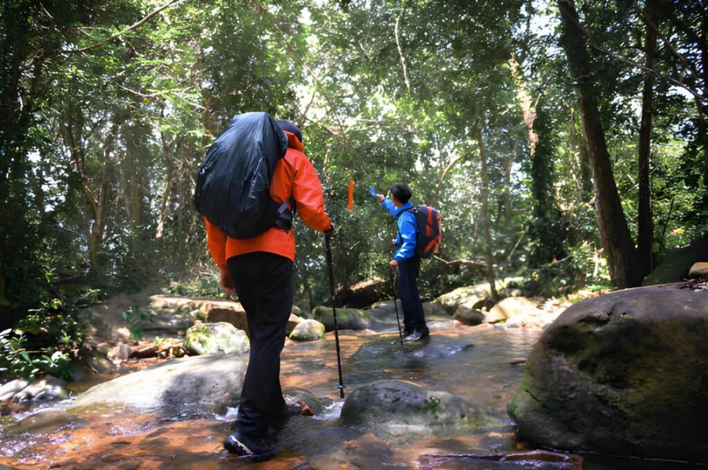 Trekking en la selva tropical de Sinharaja Sri Lanka