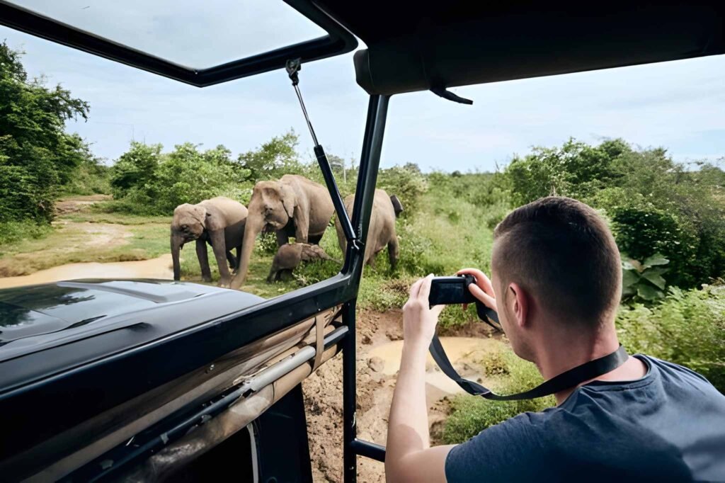 sri lanka safari elefantes