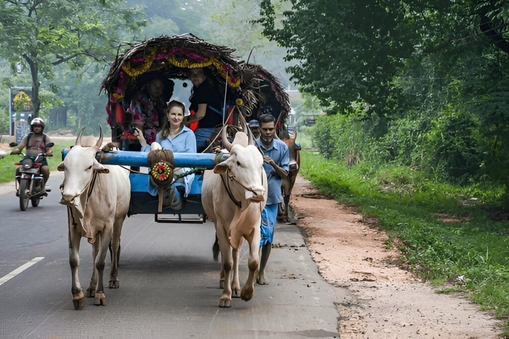 Experiencia de aldea tradicional cerca de Sigiriya para familias