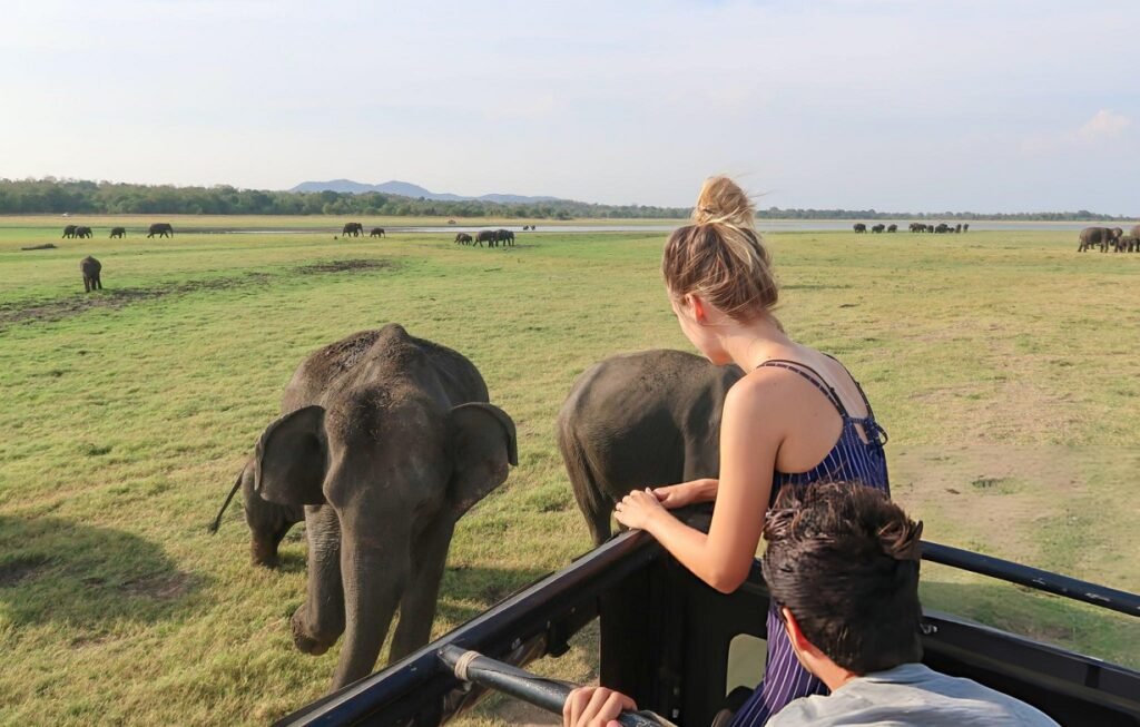 safari Sri Lanka parques nacionales leopardo elefante español