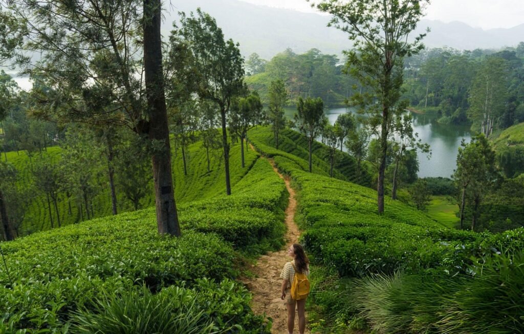 tour-privado-sri-lanka