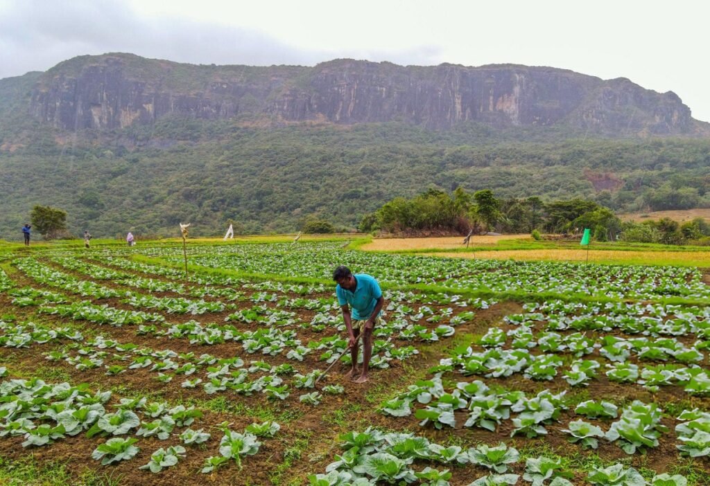 voluntariado agricultura huertos escolares Sri Lanka comunidades rurales español programa