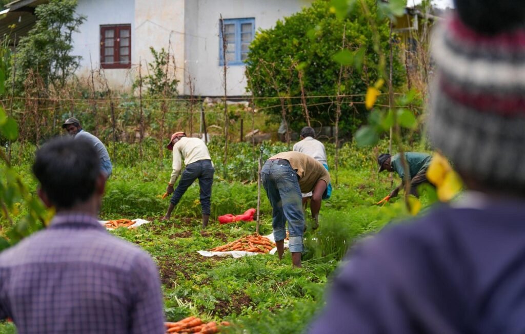 voluntariado comunidades rurales Sri Lanka